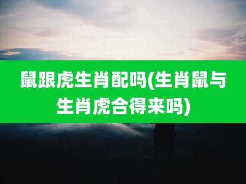 鼠跟虎生肖配吗(生肖鼠与生肖虎合得来吗)