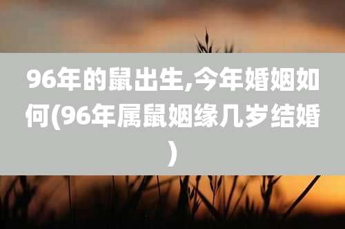 96年的鼠出生,今年婚姻如何(96年属鼠姻缘几岁结婚)