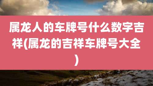 属龙人的车牌号什么数字吉祥(属龙的吉祥车牌号大全)
