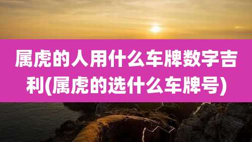 属虎的人用什么车牌数字吉利(属虎的选什么车牌号)