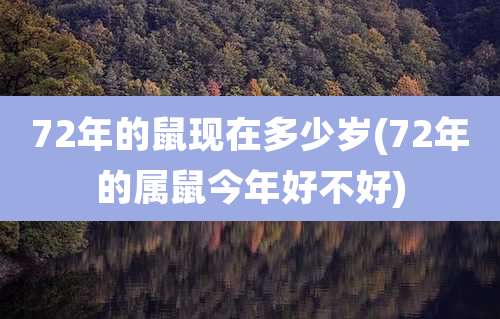 72年的鼠现在多少岁(72年的属鼠今年好不好)