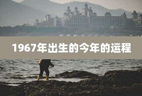 1967年出生的今年的运程