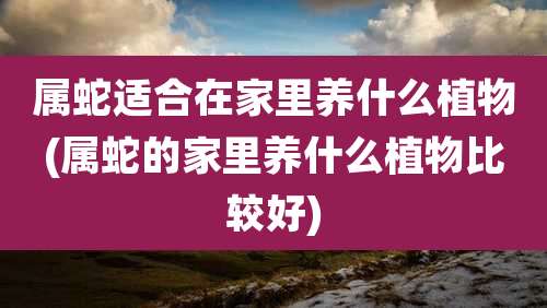 属蛇适合在家里养什么植物(属蛇的家里养什么植物比较好)