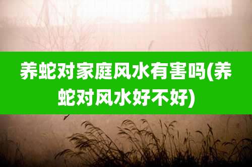 养蛇对家庭风水有害吗(养蛇对风水好不好)