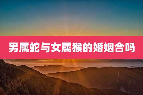 男属蛇与女属猴的婚姻合吗