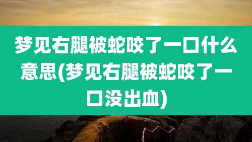梦见右腿被蛇咬了一口什么意思(梦见右腿被蛇咬了一口没出血)