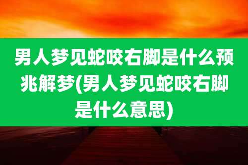 男人梦见蛇咬右脚是什么预兆解梦(男人梦见蛇咬右脚是什么意思)