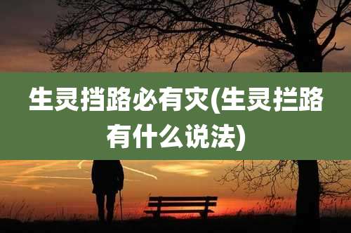 生灵挡路必有灾(生灵拦路有什么说法)