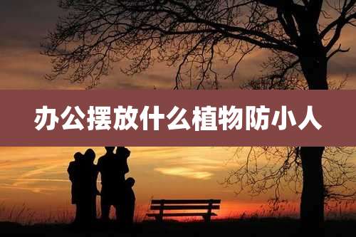 办公摆放什么植物防小人