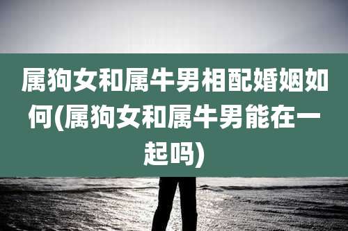 属狗女和属牛男相配婚姻如何(属狗女和属牛男能在一起吗)