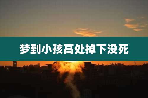 梦到小孩高处掉下没死