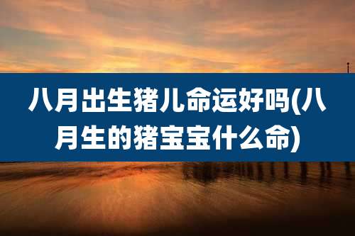 八月出生猪儿命运好吗(八月生的猪宝宝什么命)