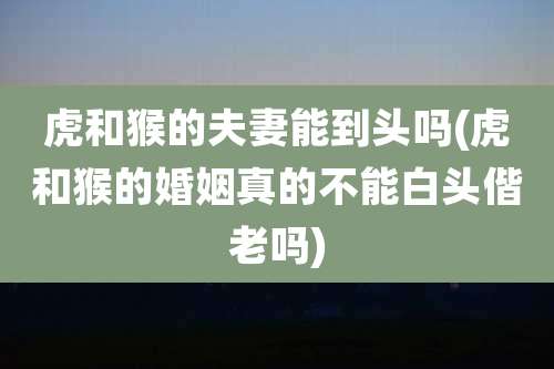 虎和猴的夫妻能到头吗(虎和猴的婚姻真的不能白头偕老吗)