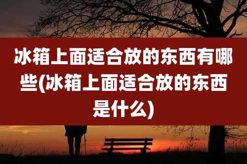 冰箱上面适合放的东西有哪些(冰箱上面适合放的东西是什么)