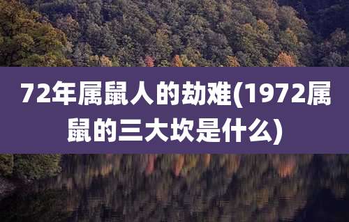 72年属鼠人的劫难(1972属鼠的三大坎是什么)