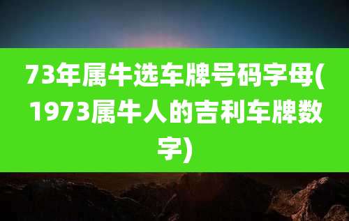73年属牛选车牌号码字母(1973属牛人的吉利车牌数字)