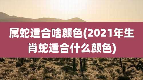 属蛇适合啥颜色(2021年生肖蛇适合什么颜色)