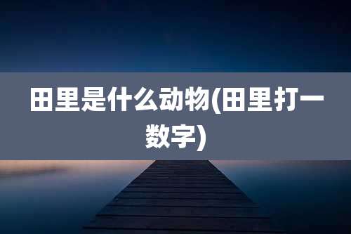 田里是什么动物(田里打一数字)