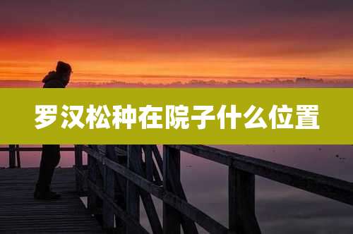 罗汉松种在院子什么位置