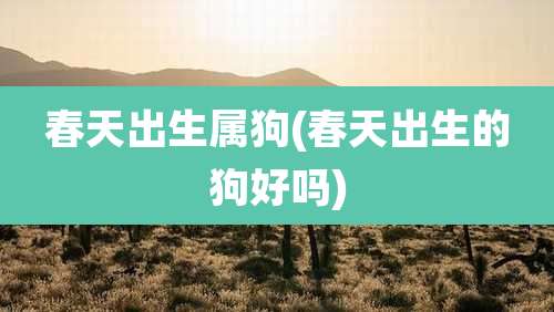 春天出生属狗(春天出生的狗好吗)