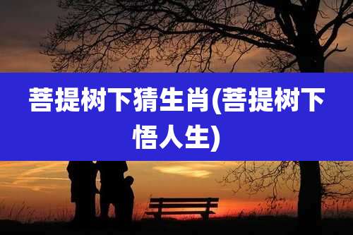 菩提树下猜生肖(菩提树下悟人生)