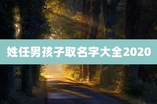 姓任男孩子取名字大全2020