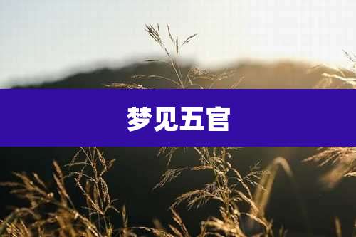 梦见五官