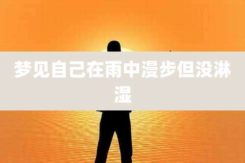 梦见自己在雨中漫步但没淋湿