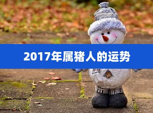 2017年属猪人的运势