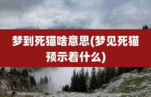 梦到死猫啥意思(梦见死猫预示着什么)