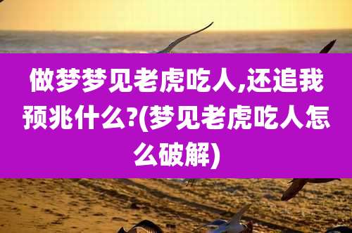 做梦梦见老虎吃人,还追我预兆什么?(梦见老虎吃人怎么破解)