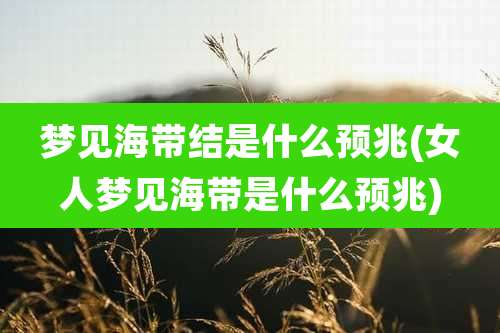 梦见海带结是什么预兆(女人梦见海带是什么预兆)