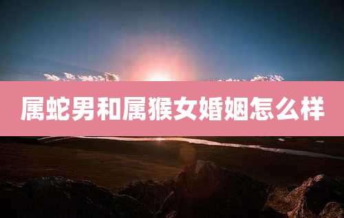 属蛇男和属猴女婚姻怎么样