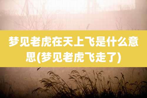 梦见老虎在天上飞是什么意思(梦见老虎飞走了)