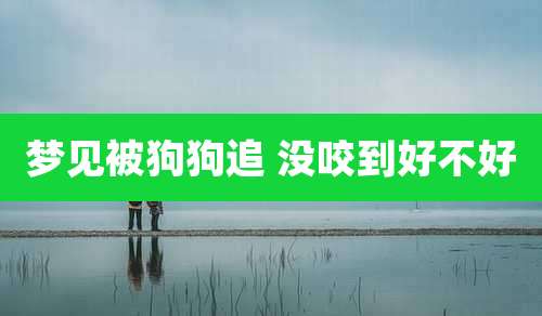 梦见被狗狗追 没咬到好不好