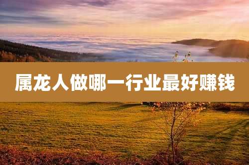 属龙人做哪一行业最好赚钱