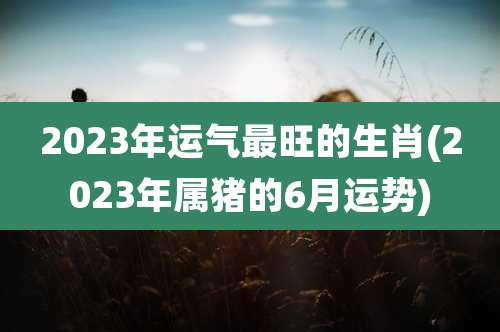 2023年运气最旺的生肖(2023年属猪的6月运势)