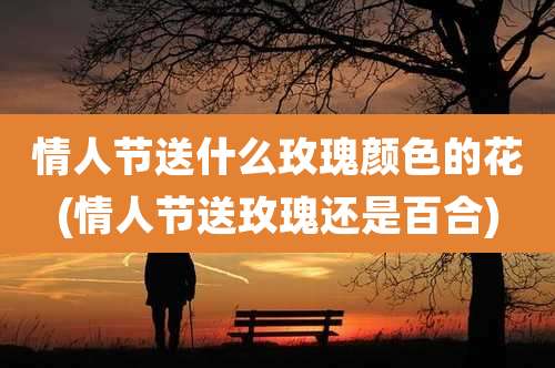 情人节送什么玫瑰颜色的花(情人节送玫瑰还是百合)