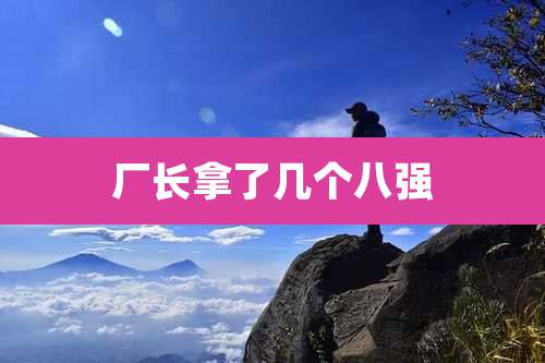 厂长拿了几个八强