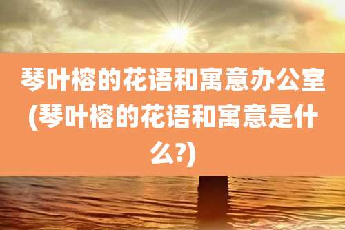琴叶榕的花语和寓意办公室(琴叶榕的花语和寓意是什么?)