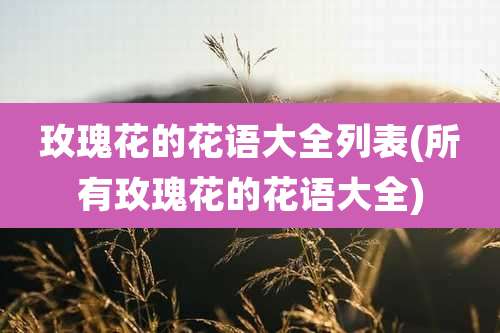 玫瑰花的花语大全列表(所有玫瑰花的花语大全)