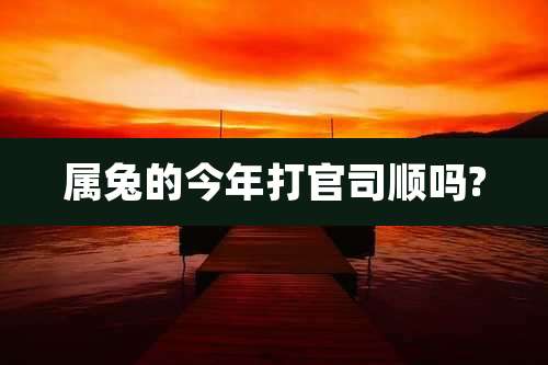 属兔的今年打官司顺吗?