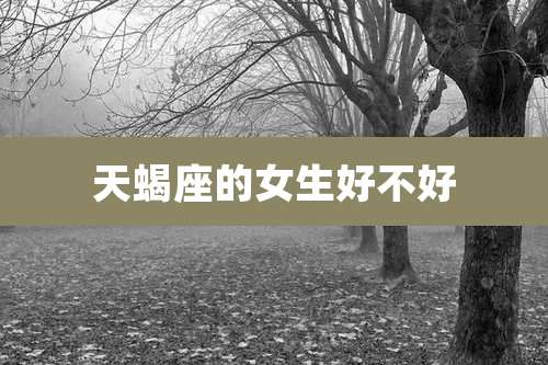 天蝎座的女生好不好