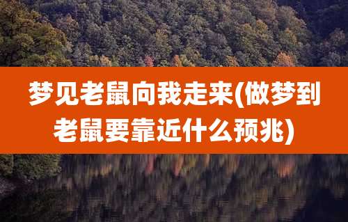 梦见老鼠向我走来(做梦到老鼠要靠近什么预兆)