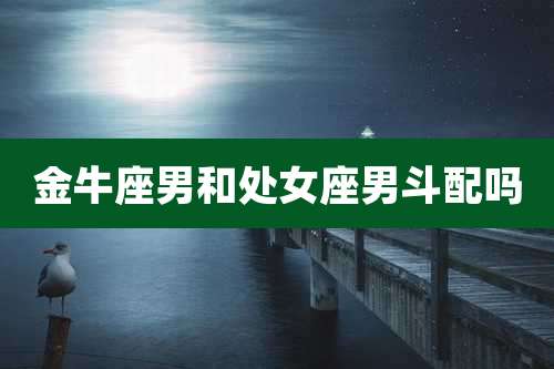 金牛座男和处女座男斗配吗