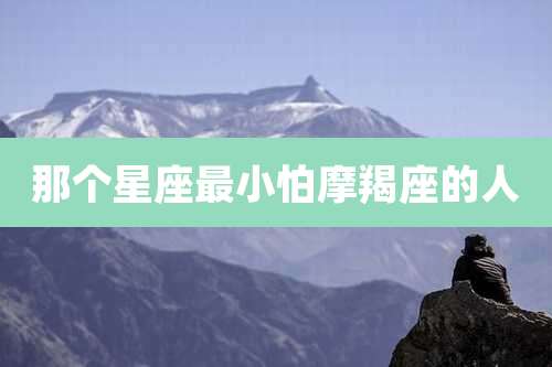 那个星座最小怕摩羯座的人