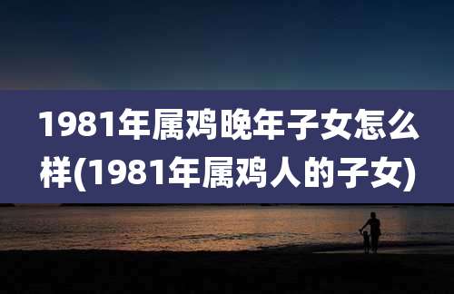 1981年属鸡晚年子女怎么样(1981年属鸡人的子女)
