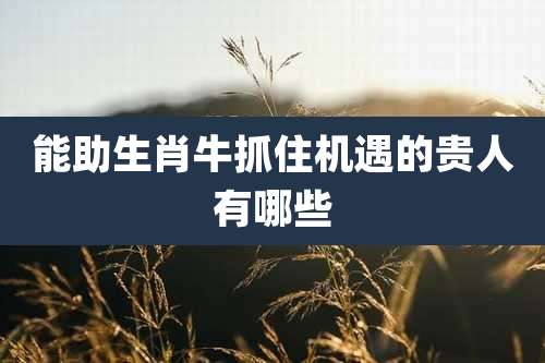 能助生肖牛抓住机遇的贵人有哪些