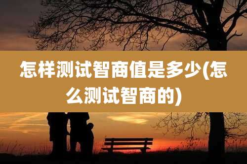 怎样测试智商值是多少(怎么测试智商的)