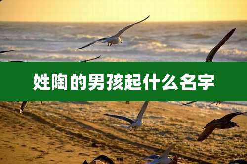 姓陶的男孩起什么名字